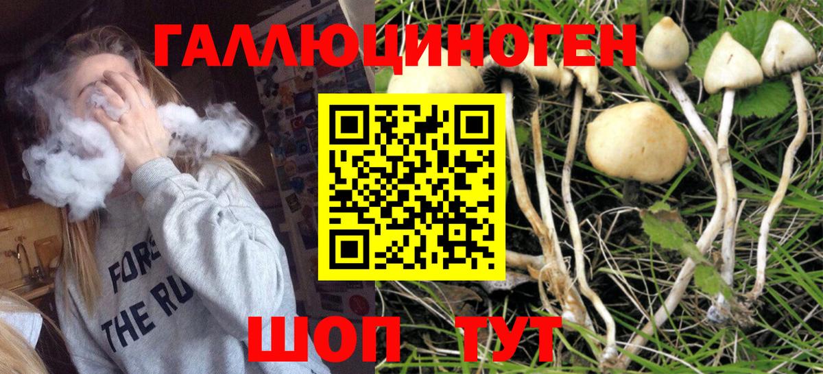 Долгопрудный  Галлюциногенные грибы MAGIC MUSHROOMS  Вход с VPN 